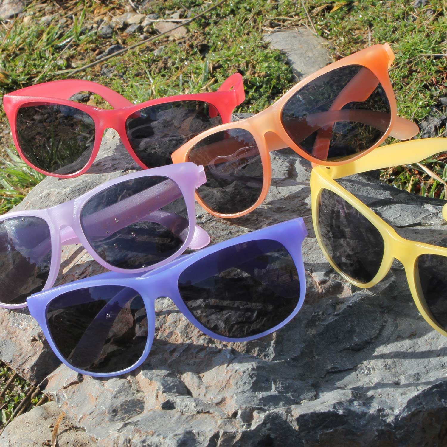 Malibu Basic Sunglasses – Mood
