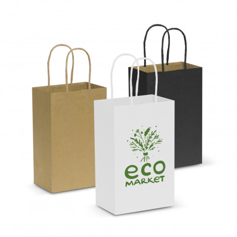 Paper Carry Bag – Small - 44396_95855.jpg