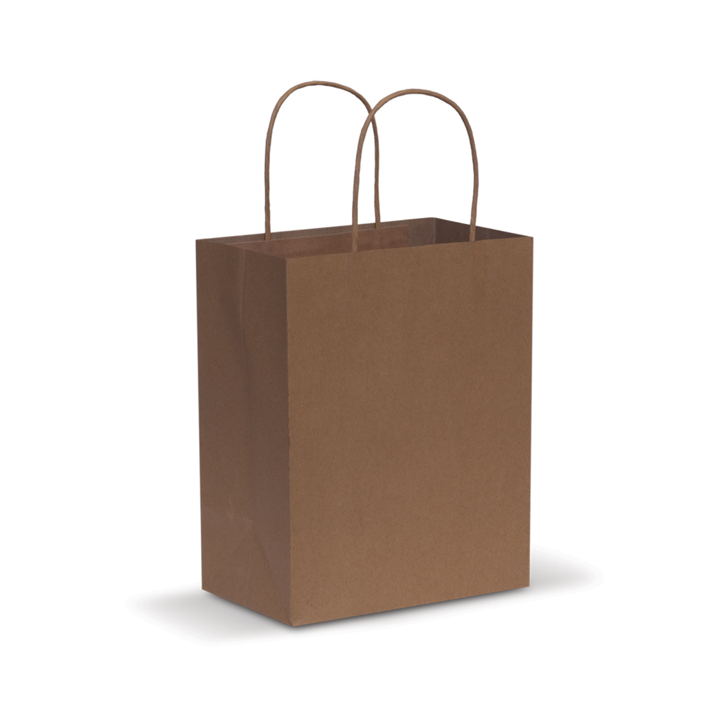 Paper Carry Bag – Medium - 44397_33402.jpg