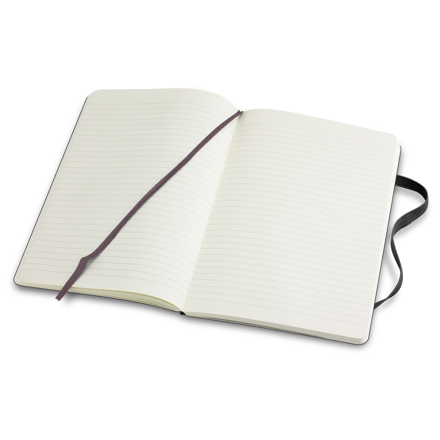 Moleskine® Classic Soft Cover Notebook – Large - 60157_125975.jpg