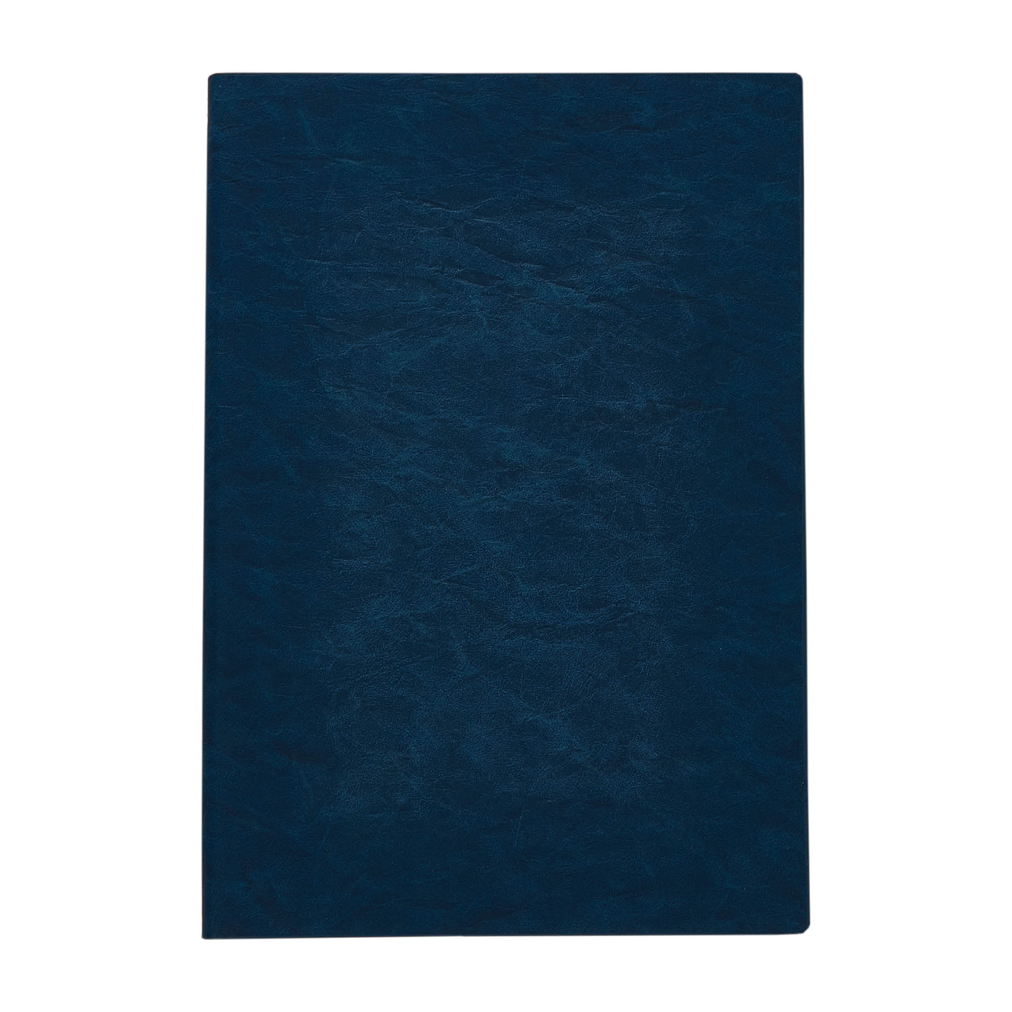 Falby Notebook - 61230_103608.jpg
