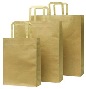 Paper Bag – Large
