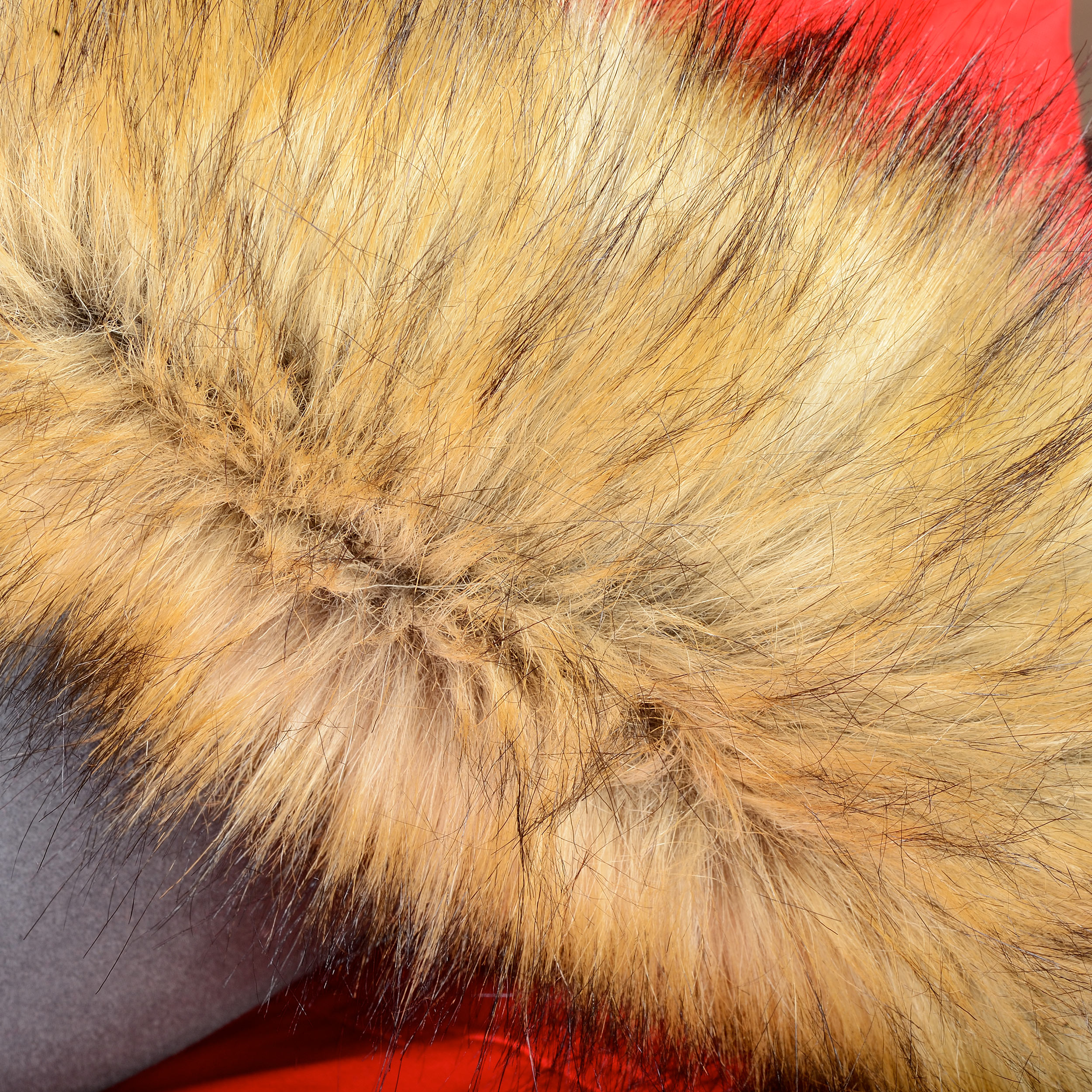 Stormtech Men’s Expedition Parka - 48845_53974.jpg