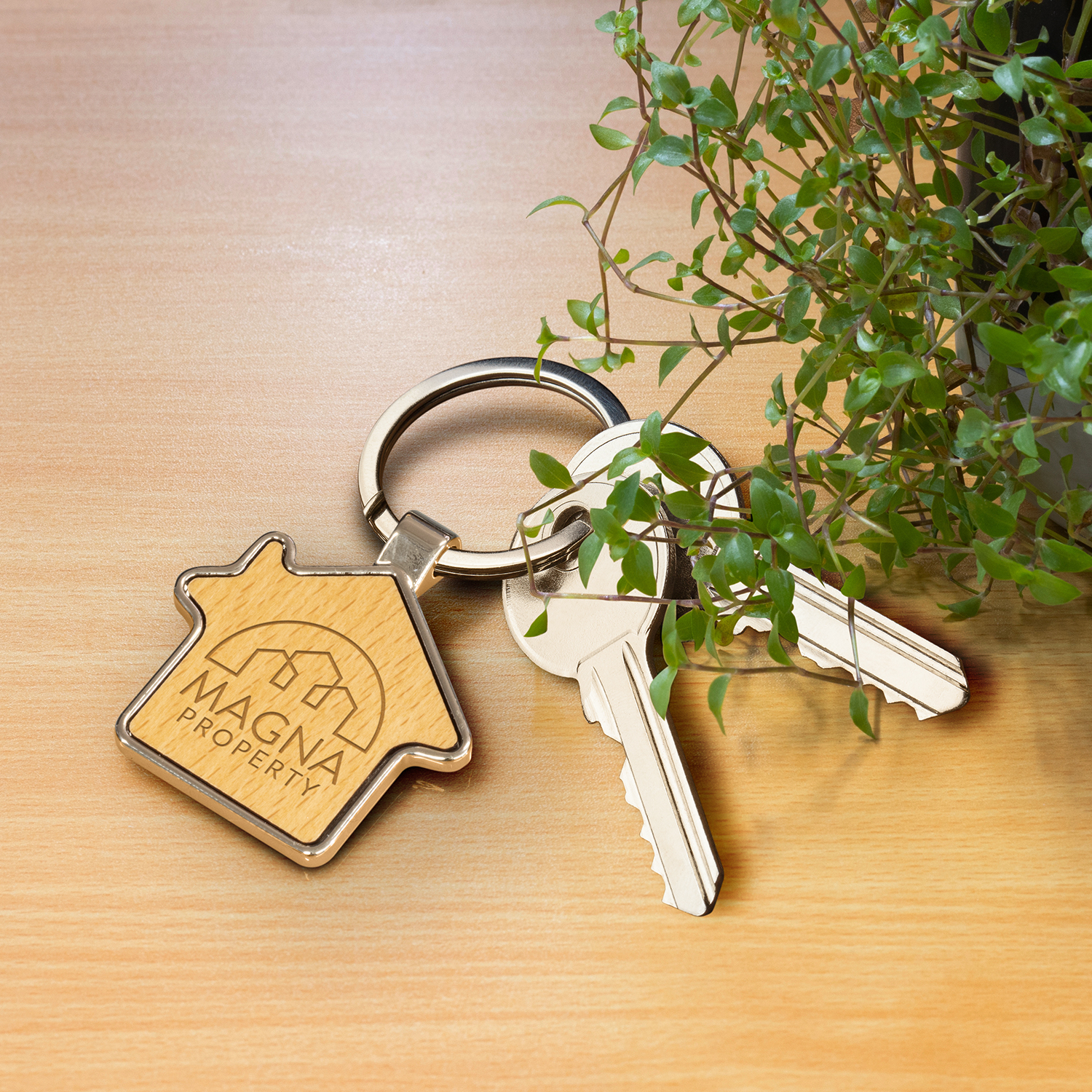 Santo House Shaped Key Ring - 66392_127766.jpg