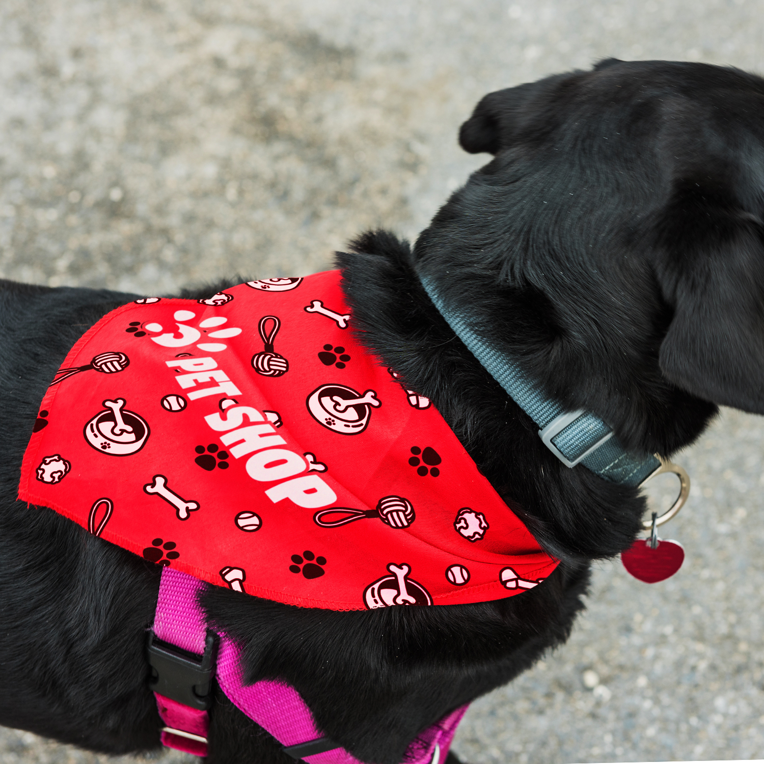Pet Bandana – Large - 66534_127068.jpg