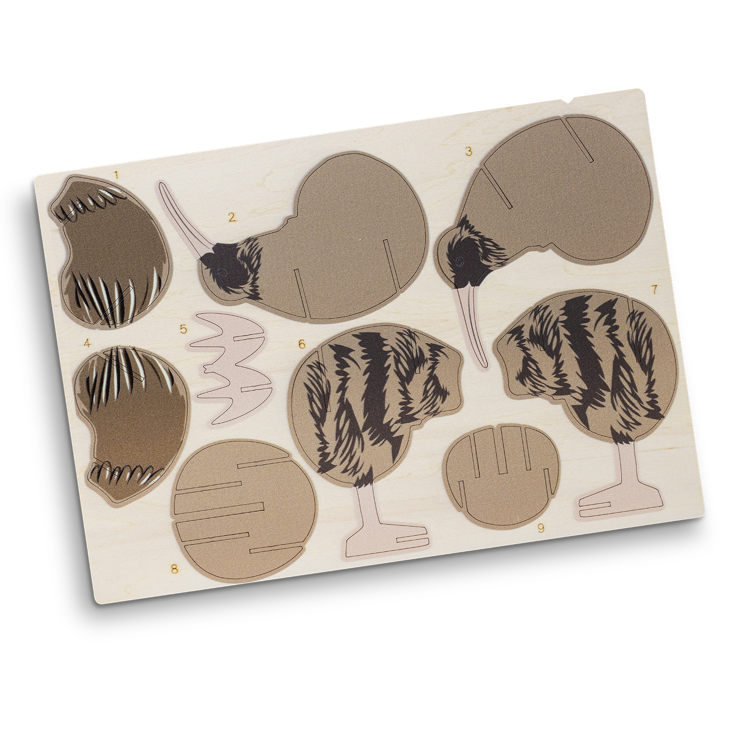 BRANDCRAFT Kiwi Wooden Model - 66582_129417.jpg