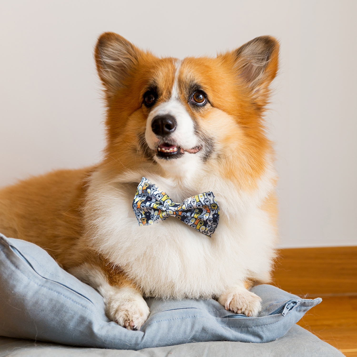 Amigo Pet Bow Tie - 66715_124714.jpg