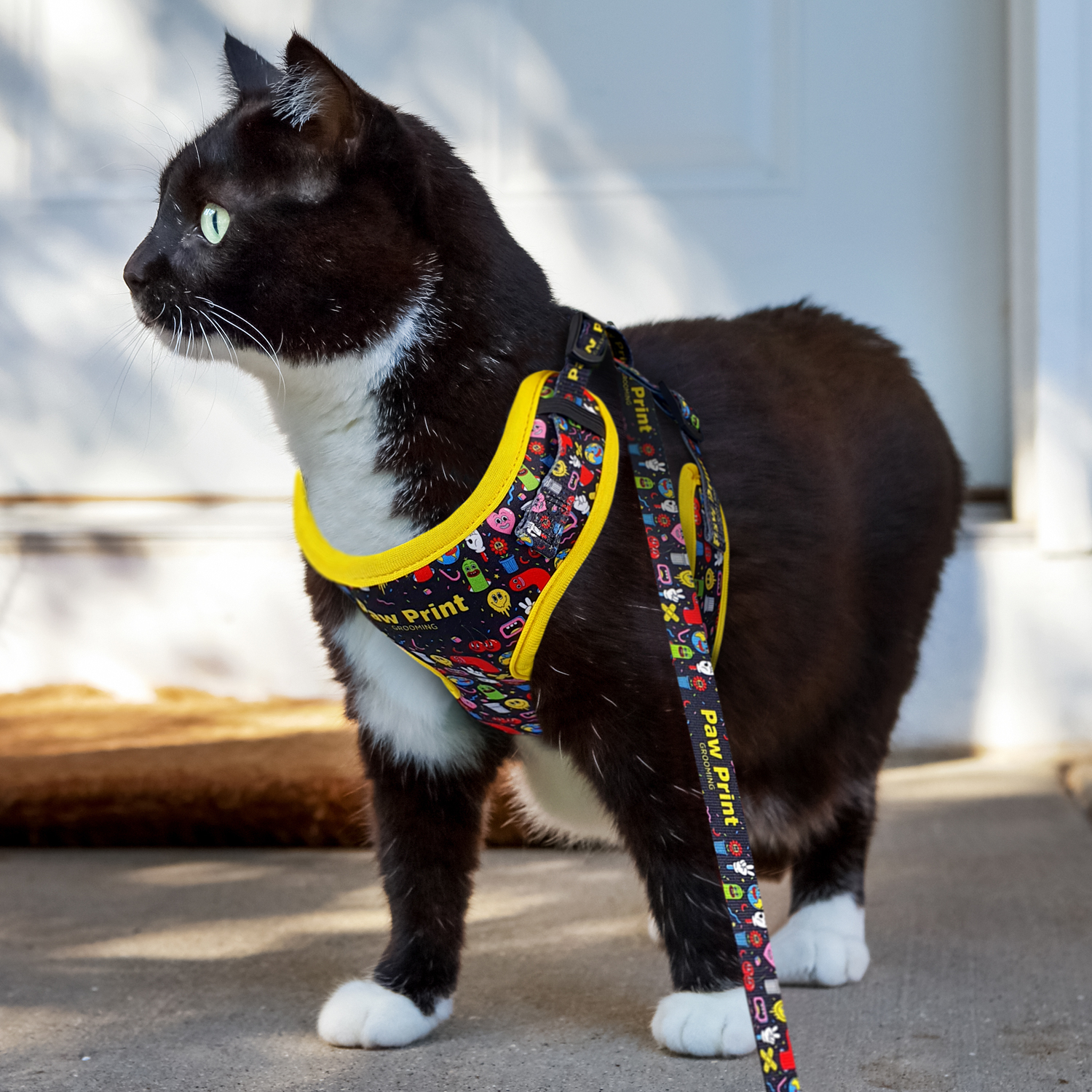 Amigo Pet Harness - 66719_127836.jpg
