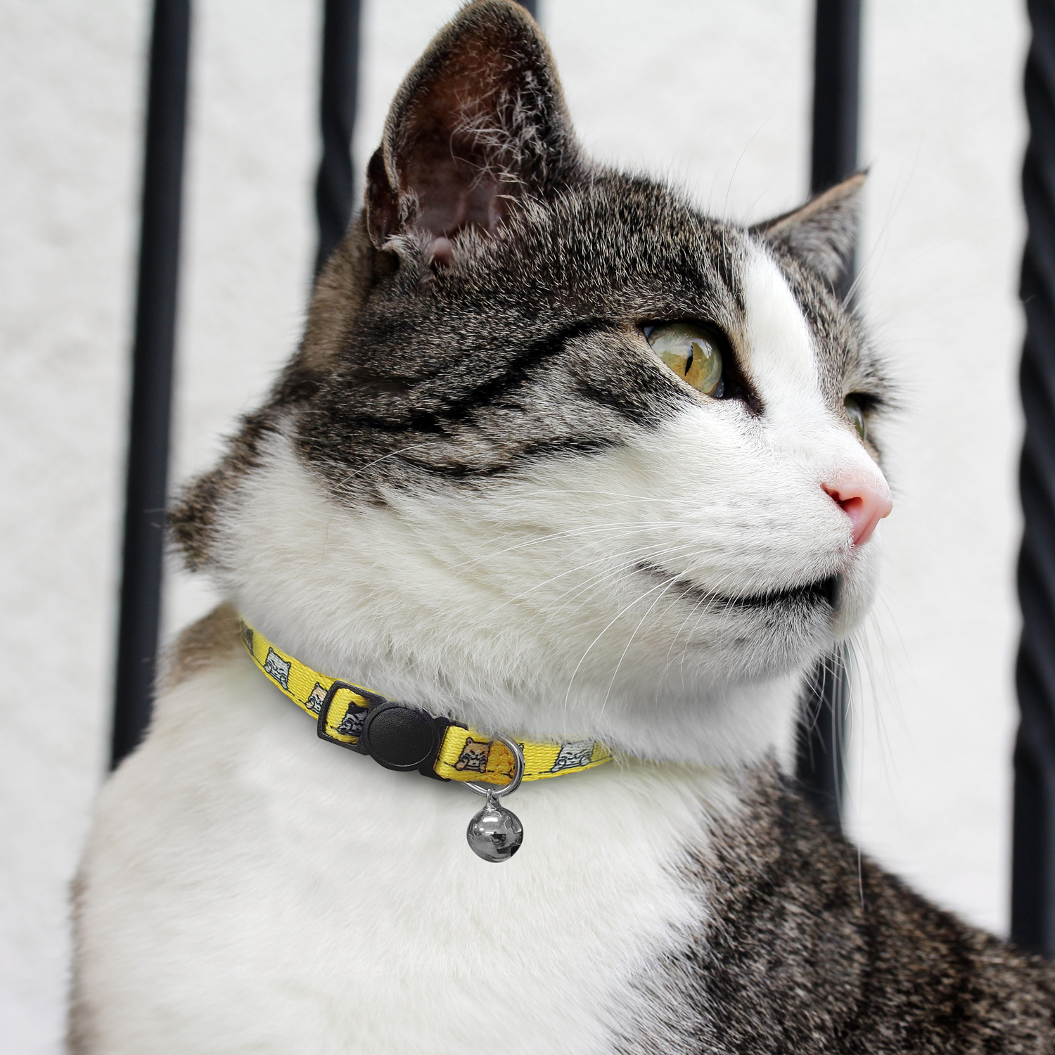 Amigo Cat Collar - 66720_129557.jpg